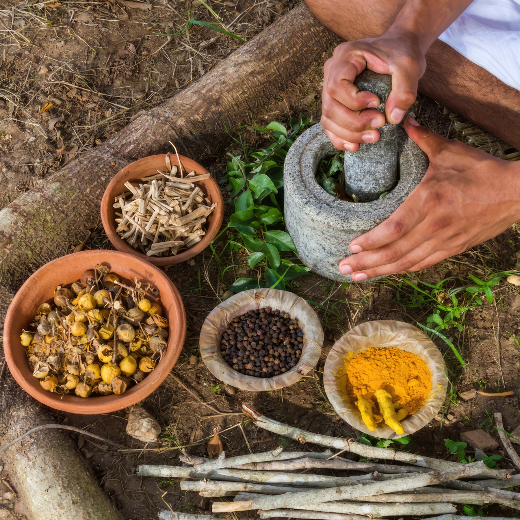 Ayurvedic Medicine